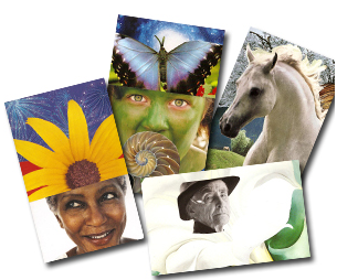 SoulCollage